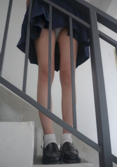 归鸿电视剧全集手机免费观看