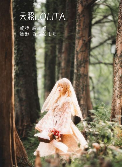 卫子夫 电视剧
