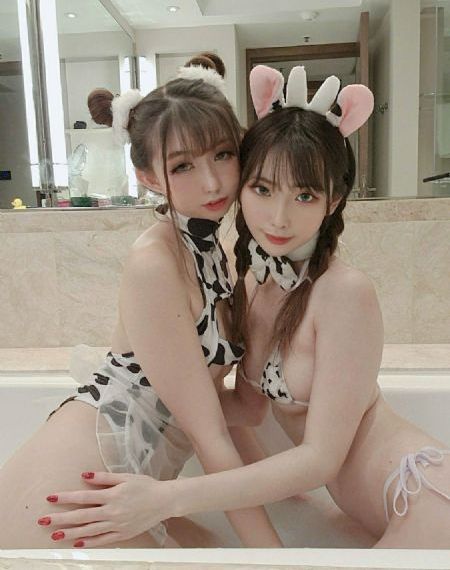 警察锅哥第二季免费完整版全集