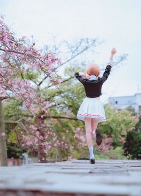 狐妖小红娘月红篇